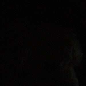 Meet your Posher, Marta